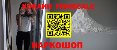 jwh Кингисепп