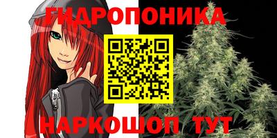 гашик Кинель