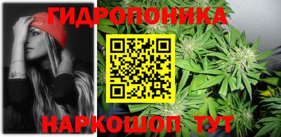 jwh Кингисепп