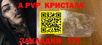 jwh Кингисепп