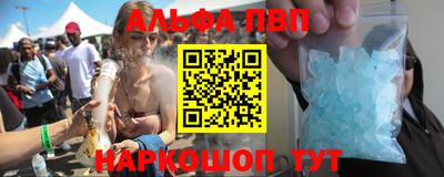 jwh Кингисепп