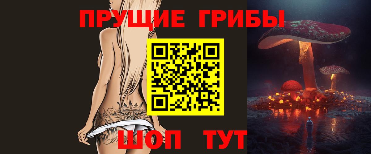 Псилоцибиновые грибы Cubensis Краснодар